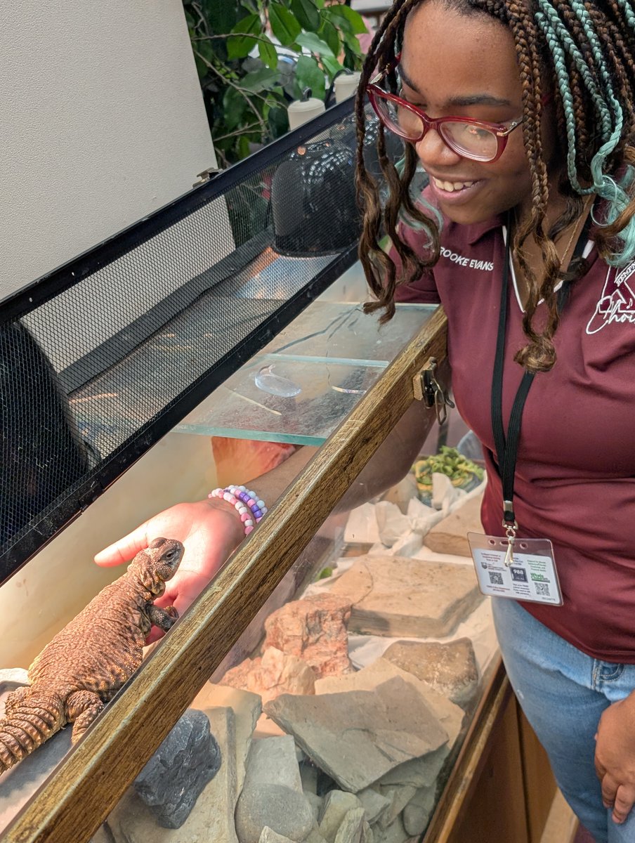 Kempner Library tweet media