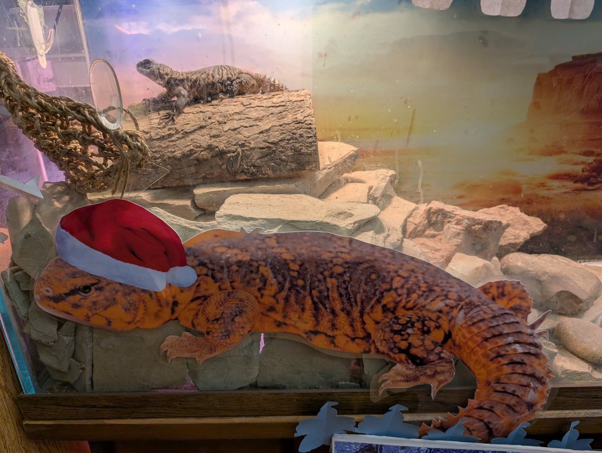 Kempner Library tweet media