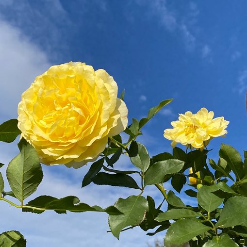 ひろみ 🦋 (@u90pVKxMdO9ffre) / Posts / X