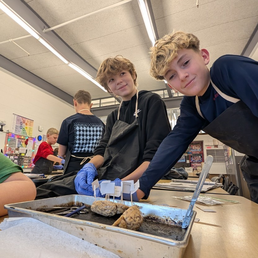 Reeds Spring MS tweet media