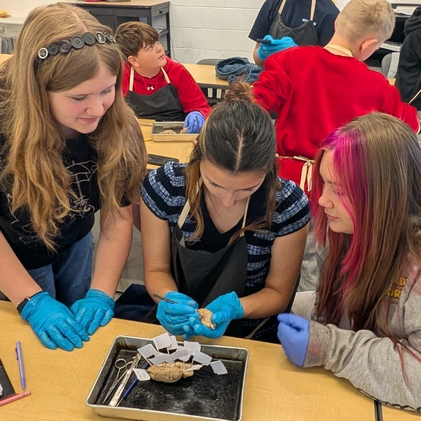 Reeds Spring MS tweet media