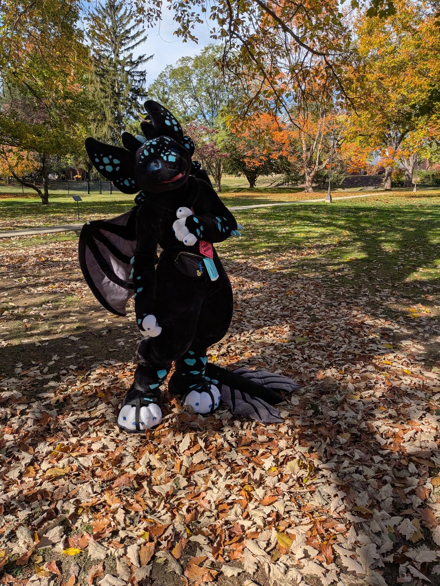 lander_will's tweet image. Dragon hitting MFF in 1 hour