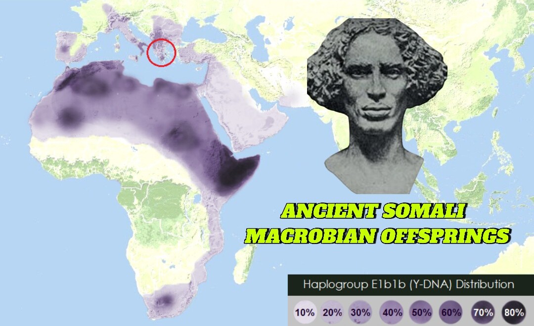 No, Greeks are Somali!