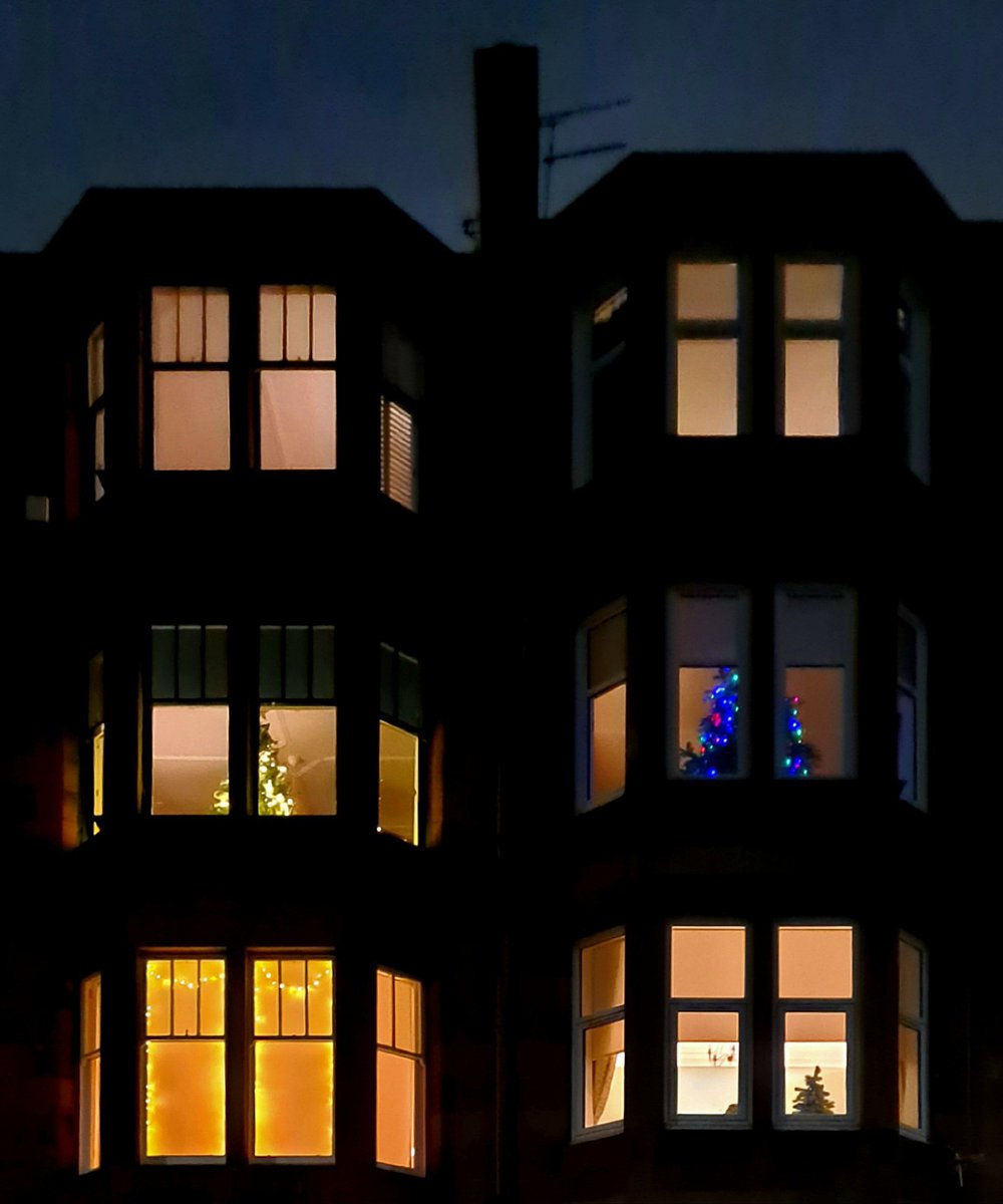 is_glasgow's tweet photo. Is there any better location for a Christmas tree than a tenement bay window?

#glasgow #tenement #glasgowtenements #christmas #christmastree #baywindows https://t.co/ClaECm3VCP