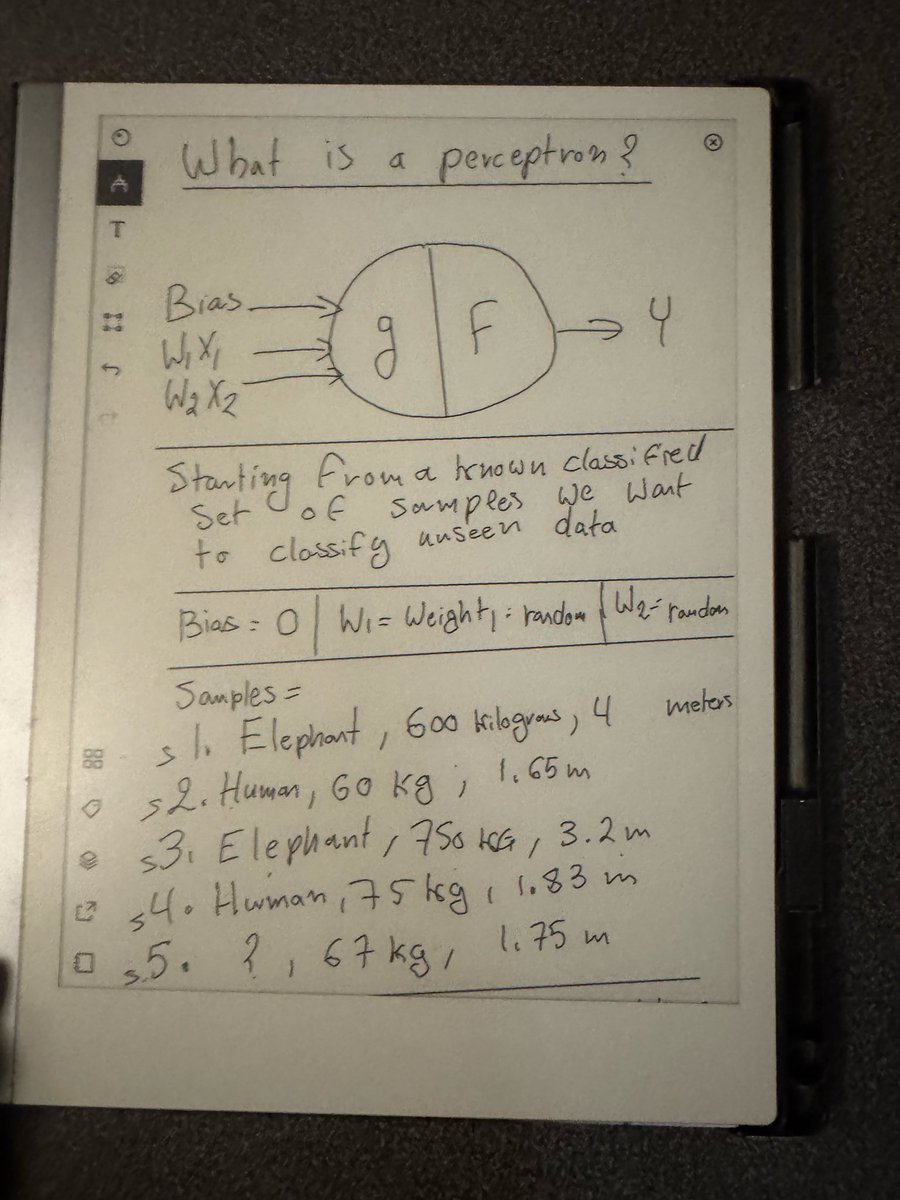 Perceptron diagram