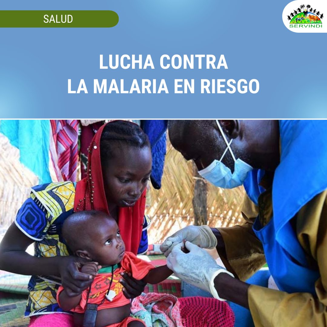 🌍#Africa 𝗟𝘂𝗰𝗵𝗮 𝗰𝗼𝗻𝘁𝗿𝗮 𝗹𝗮 𝗺𝗮𝗹𝗮𝗿𝗶𝗮 𝗲𝗻 𝗿𝗶𝗲𝘀𝗴𝗼𝗮 ⮕ acortar.link/ou1oaR

OMS alerta que la vida de miles de personas en el mundo está amenazada por mutaciones resistentes de la enfermedad y falta de financiamiento.