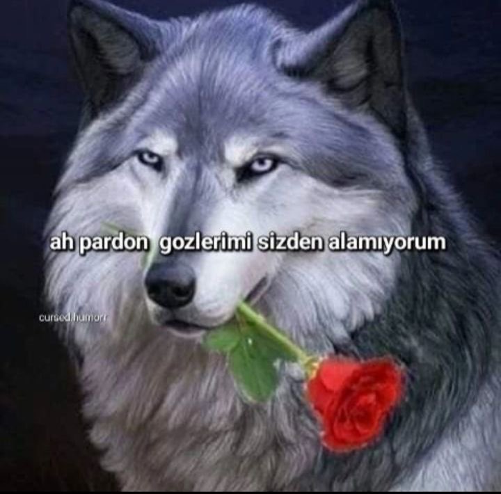 şirunum furtunam sevcana hayatının dersini verdi ya daha da bir şey istemem #TaşacakBuDeniz