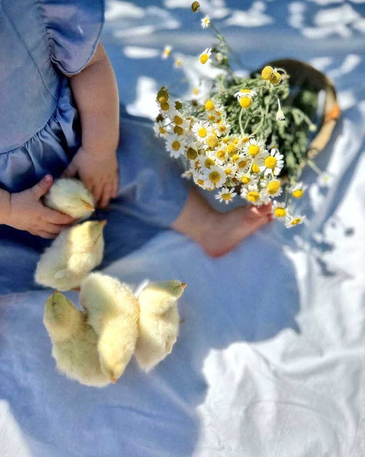 فهم الذات هو مفتاح 🌌 فهم العالم من حولك.
تصبحون علي خیر ✨✨
#تصبحون_على_خير