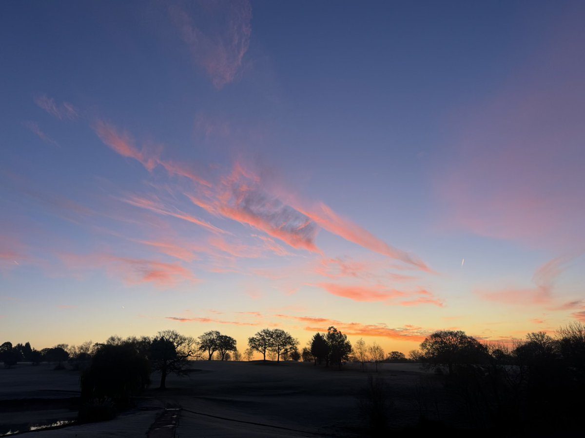 David A Byron tweet media