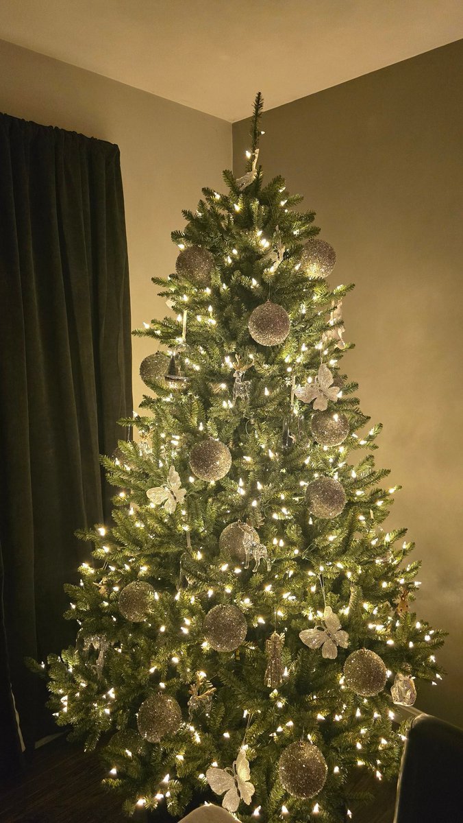 CharityBill4's tweet photo. Christmas Tree 🌲 🤶 https://t.co/GKX36rlVup