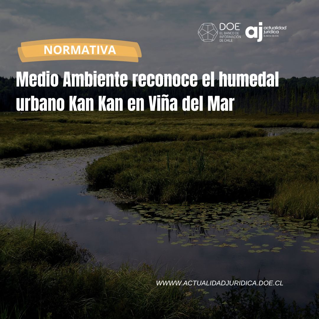 ⚖️NORMATIVA| El Ministerio del Medio Ambiente aprobó la delimitación oficial del humedal Kan Kan, fijando una superficie de 1,54 hectáreas dentro del límite urbano.

Lee acá➡️actualidadjuridica.doe.cl/medio-ambiente…

#DOE #ViñadelMar #Humedal