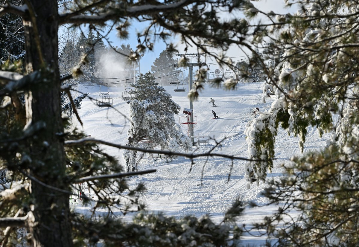 Daniel Mears tweet media