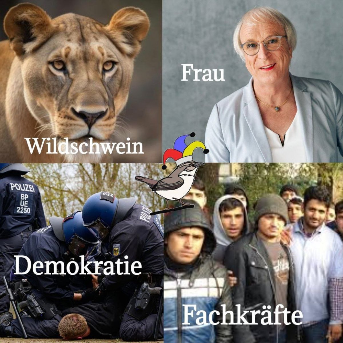 Zeitloser X Klassiker ☝🏻