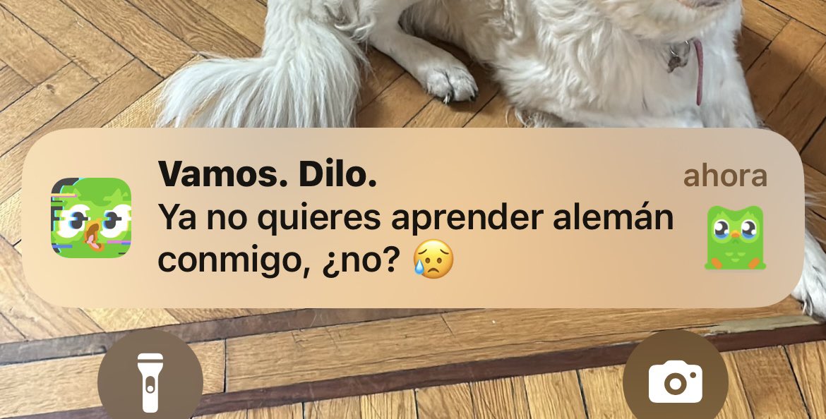 Pov te habla el tóxico