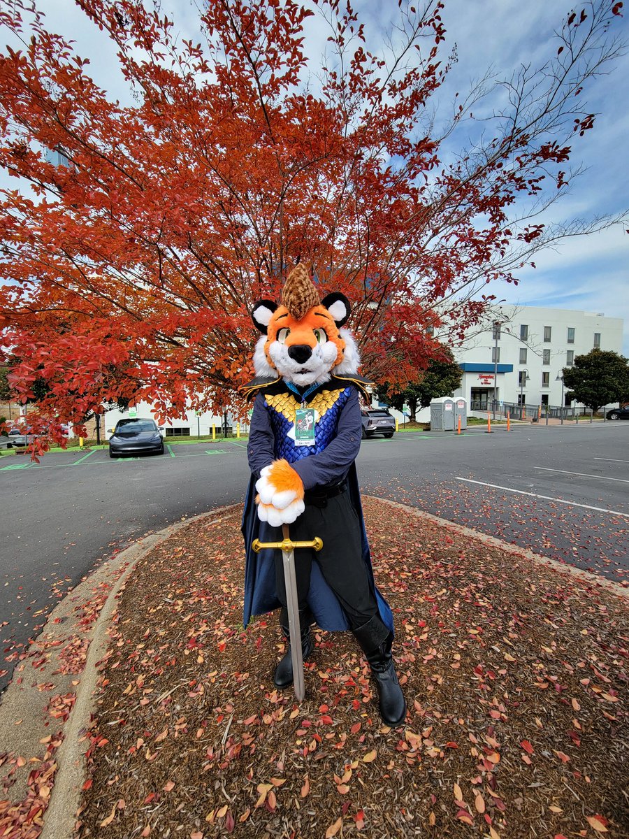 Scooter Muhgrooter tweet media