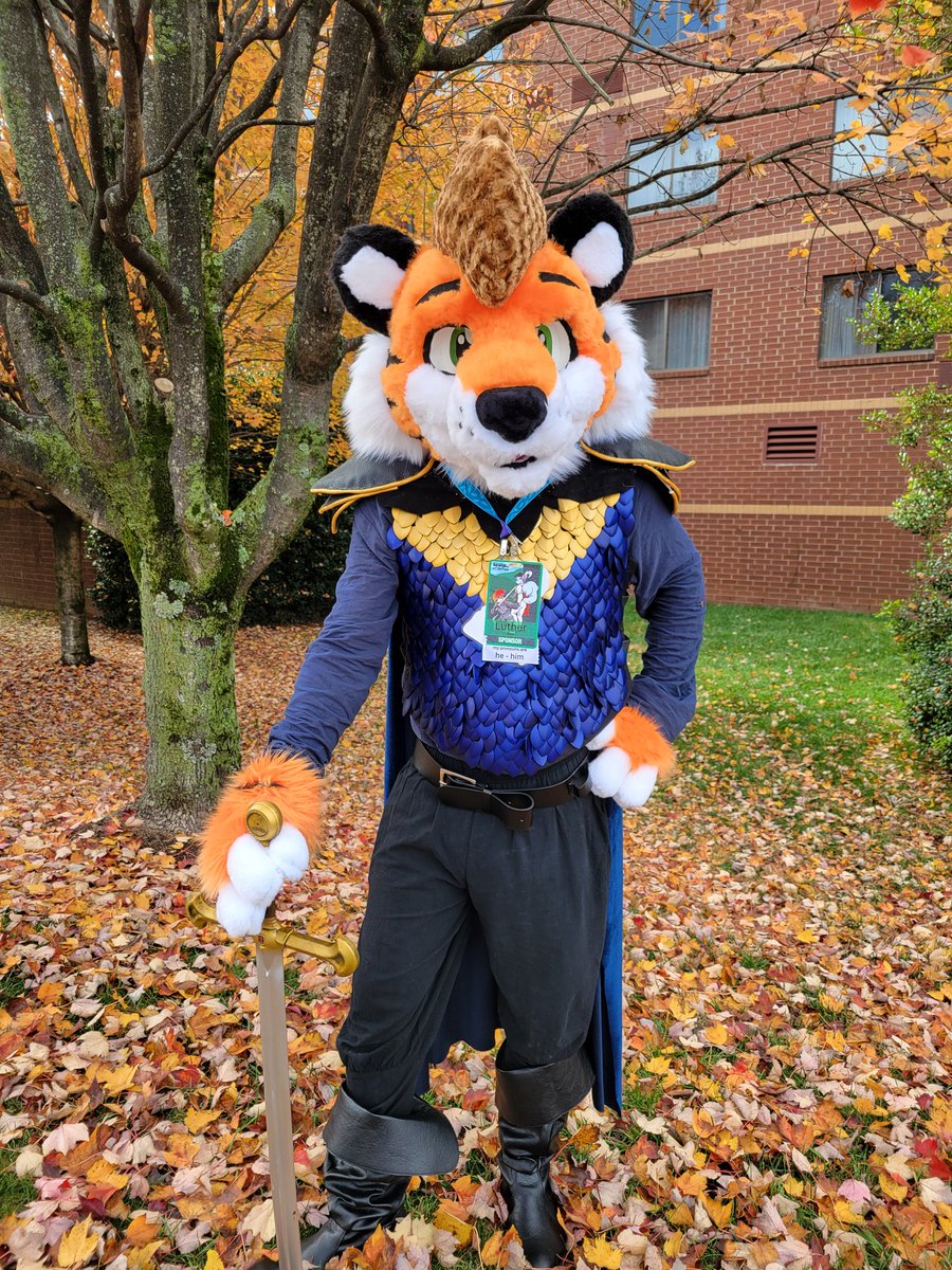 Scooter Muhgrooter tweet media