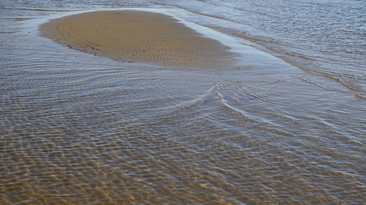 thefrdc's tweet image. The Fraser River is dotted with old sandbars that once tempted 1858 gold-seekers. Many of those same sandbars are still visible today, especially from the train route that winds high above the river on its way toward the Thompson River. 

#FraserRiver #GoldRush #Sandbars