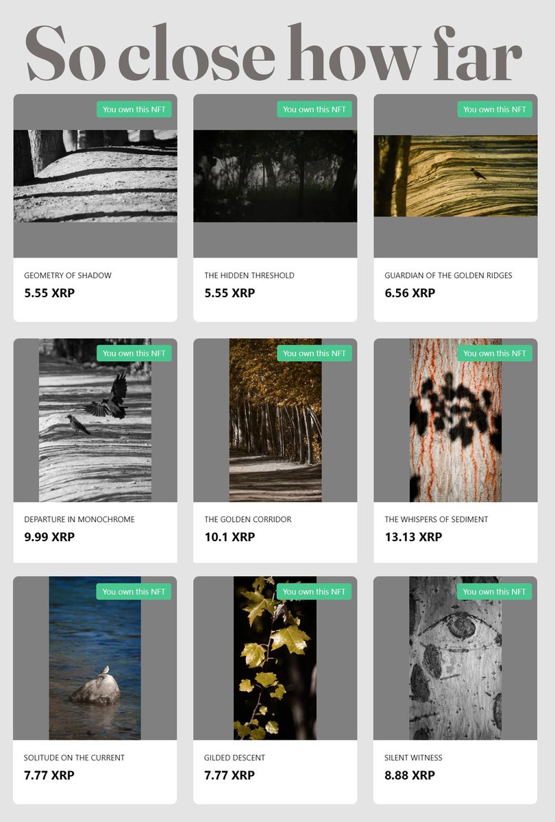 BEHROOZ©️ tweet media