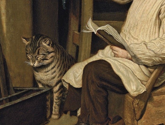 🦩 (@huariqueje) on Twitter photo 