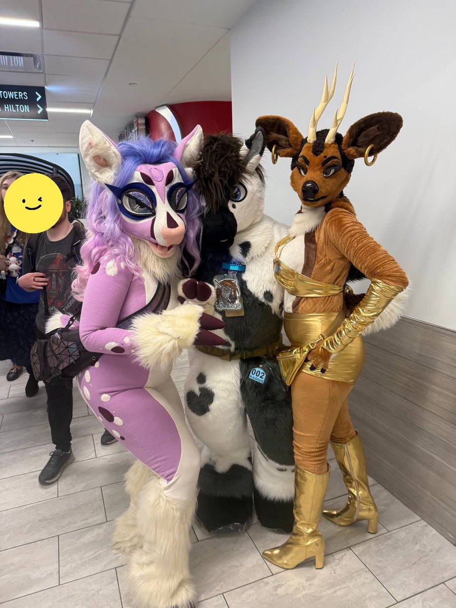 dearthistle's tweet photo. I hope you all have the most wonderful and safe time at #MFF! I wish I could be there! Fondly remembering suiting up with friends @VHSDragoness and Radius Cross this past May 💜🎀 https://t.co/6jgJkiqXve