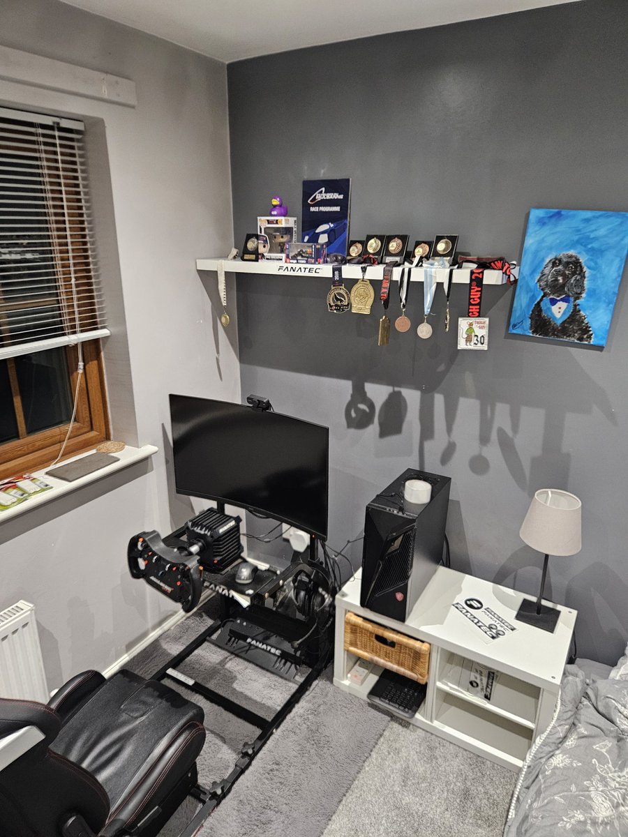 SimRacingAndy's tweet image. Updated the room, added my karting medals and obstacle course medals
