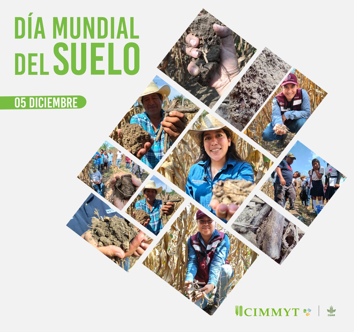 🌱 En el #DíaMundialDelSuelo celebramos a quienes lo cuidan y trabajan todos los días.

Desde el proyecto con la #SEFADER en #Oaxaca, productores y técnicos fortalecen el suelo con prácticas sustentables y compromiso territorial.
 El suelo también tiene rostro.
 
#SuelosVivos