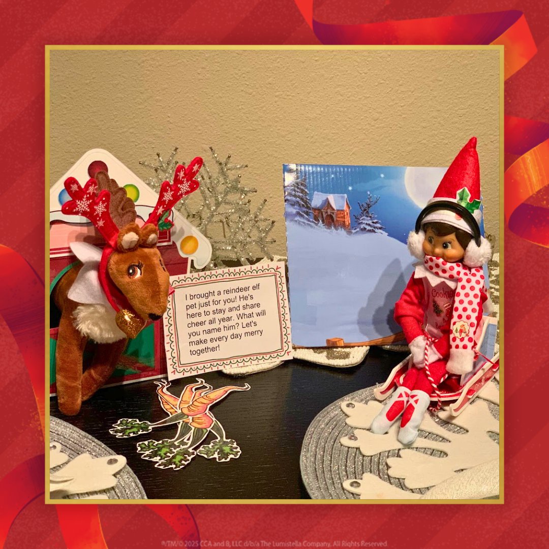 elfontheshelf's tweet photo. Scout Elves + Elf Pets Reindeer = holiday besties! Every elf needs a reindeer friend and vice versa. Find yours at local retailers or in Santa’s Store! https://t.co/ua8xb0F2A9 Thank you, Taylor Alston, for this photo! #ElfontheShelf #ElfPets #Santaverse https://t.co/q0C2IY5x61
