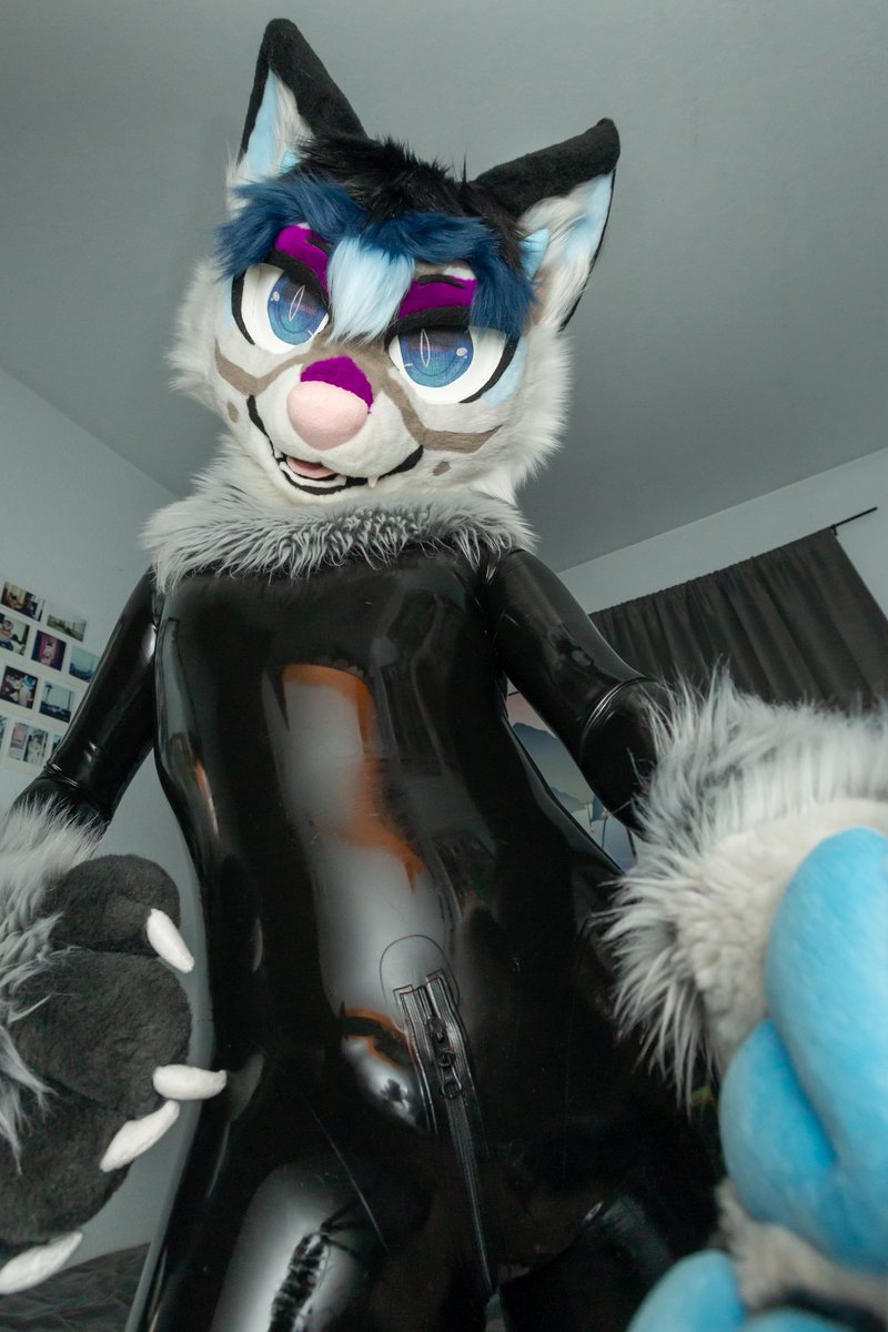 it’s #FursuitFriday time to be shiny 😼

#latex #latexfurry #murrsuit #furry