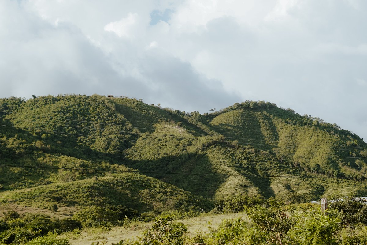 JEP_Colombia's tweet photo. La JEP acreditó al Territorio de Montes de María como víctima en el #Caso08, que investiga crímenes cometidos por miembros de la fuerza pública, u otros agentes del Estado, en asociación con grupos paramilitares y/o terceros civiles, durante el conflicto armado. https://t.co/W2eNvfRHQv