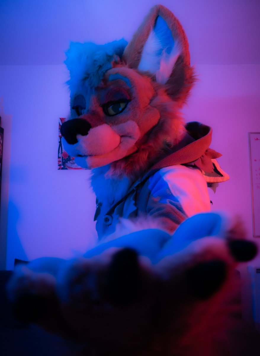 Take my paw, I'Il show you something ~
#FursuitFriday #Fursuit #Furry
