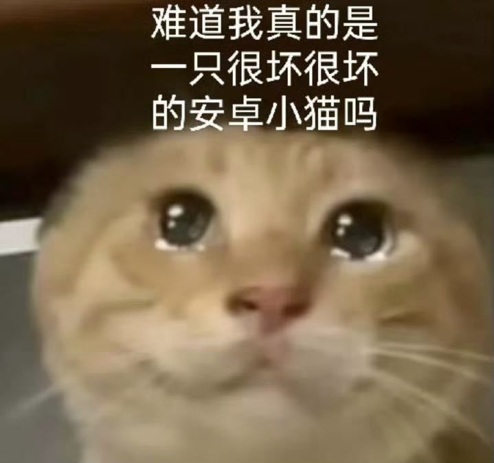 汐 tweet media