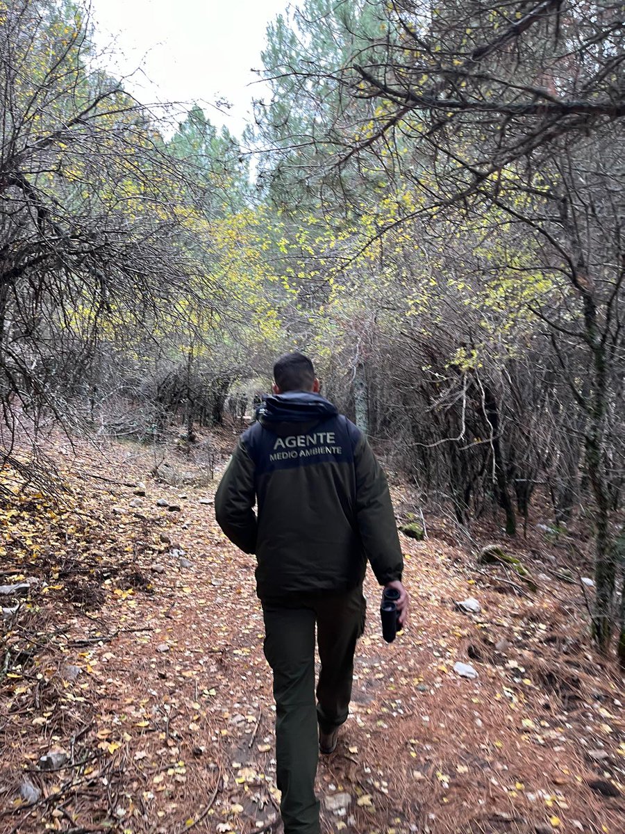 Cuando por fin eres funcionario de carrera pero <a href="/AndaluciaJunta/">Junta de Andalucía</a> niega tus derechos de por vida: no permiten traslados de provincia ni conciliación familiar.
Hay #AgentesDeMedioAmbiente que viven a más de 400 km de sus familias sin posibilidad de traslado.

aeafma.es/gabinete-de-pr…