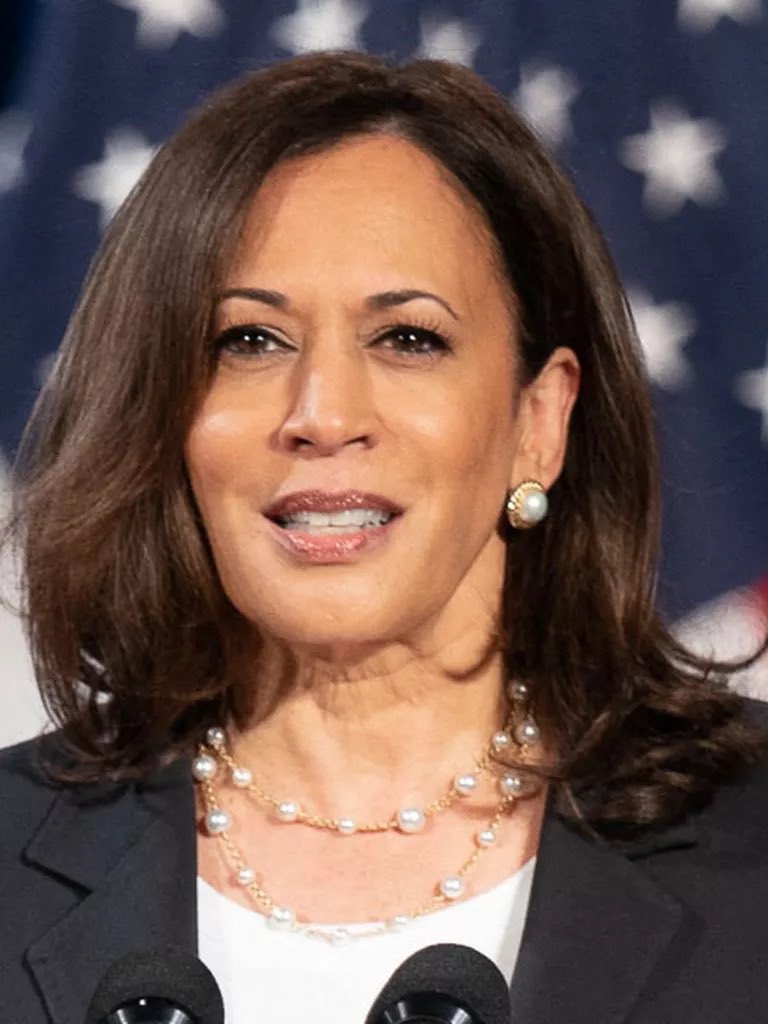 TheFrenchie tweet media