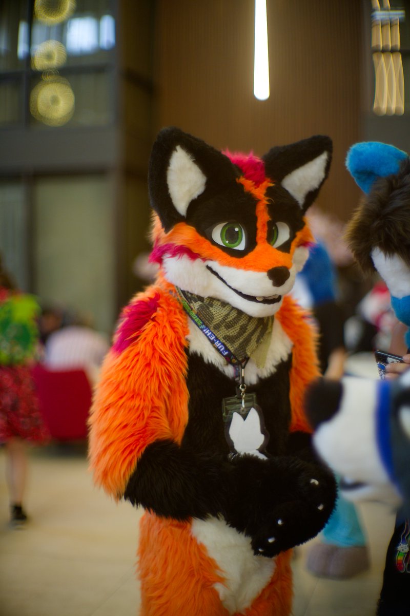 Chase the Fox tweet media