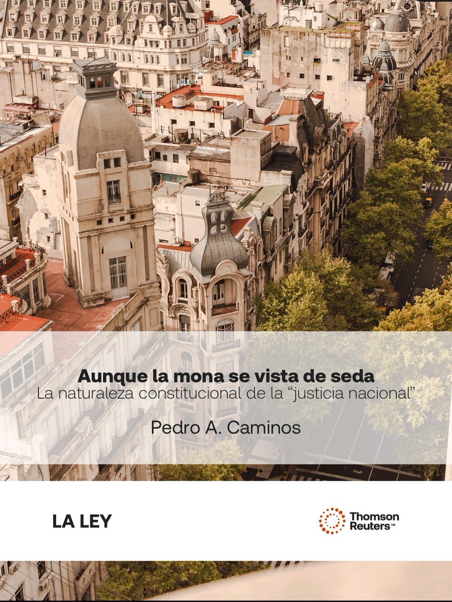 El precedente "Levinas" generó un tembladeral. En este libro me peleo con "Levinas", con la falta de implementación del art. 129 CN y con la justicia nacional. Ideal para hacer amigos. Se consigue solo en formato e-book. Las obras citadas existen y fueron leídas por el autor.