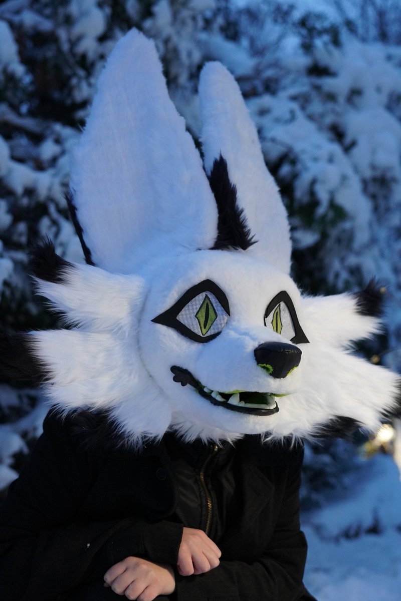 reshi_dragon's tweet photo. Snow fursuit photos for #FursuitFriday https://t.co/KRvwlrZ5rn