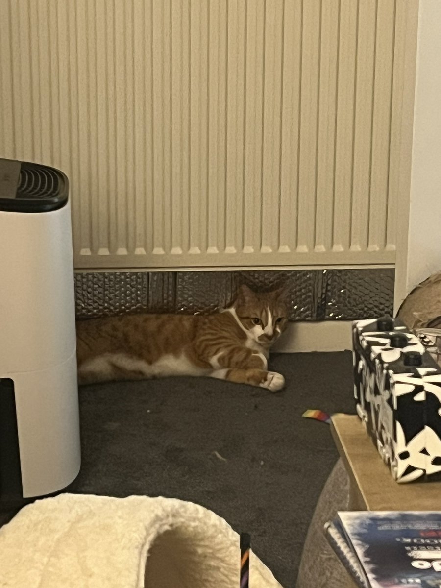 Chesty Mucus Cough Syrup 🇵🇸 Annie 🪽 tweet media