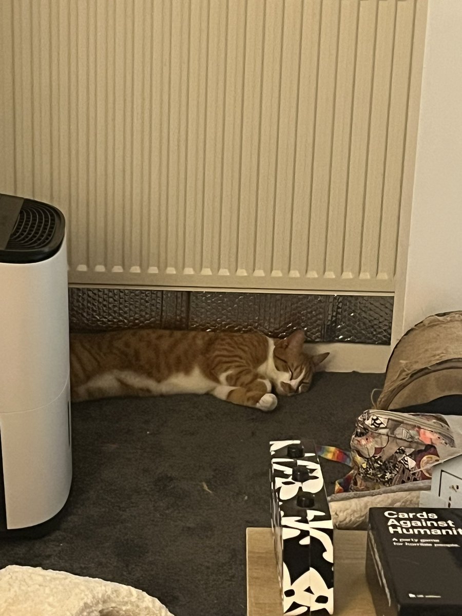 Chesty Mucus Cough Syrup 🇵🇸 Annie 🪽 tweet media