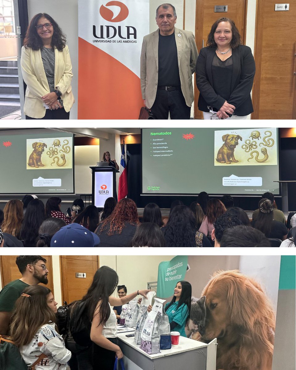 🩺🐾 EXPOVET UDLA cerró con más de 180 participantes, en una jornada que conectó a estudiantes y egresados con el mundo profesional veterinario. Contando con la participación de instituciones como MINSAL, PDI, académicos, empresas y laboratorios clínicos. #medicinaveterinariaudla