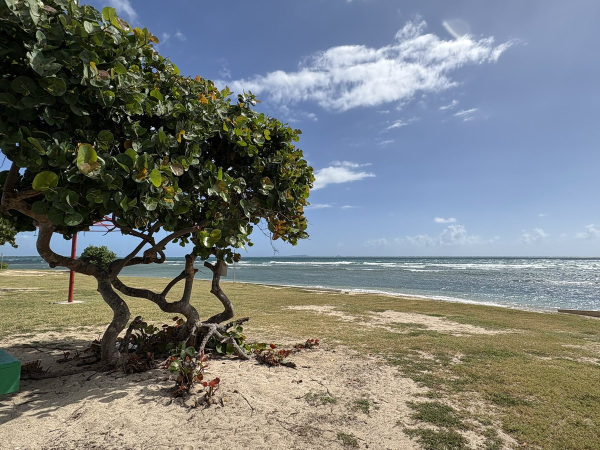 I heard it’s cold at home!  So sorry.