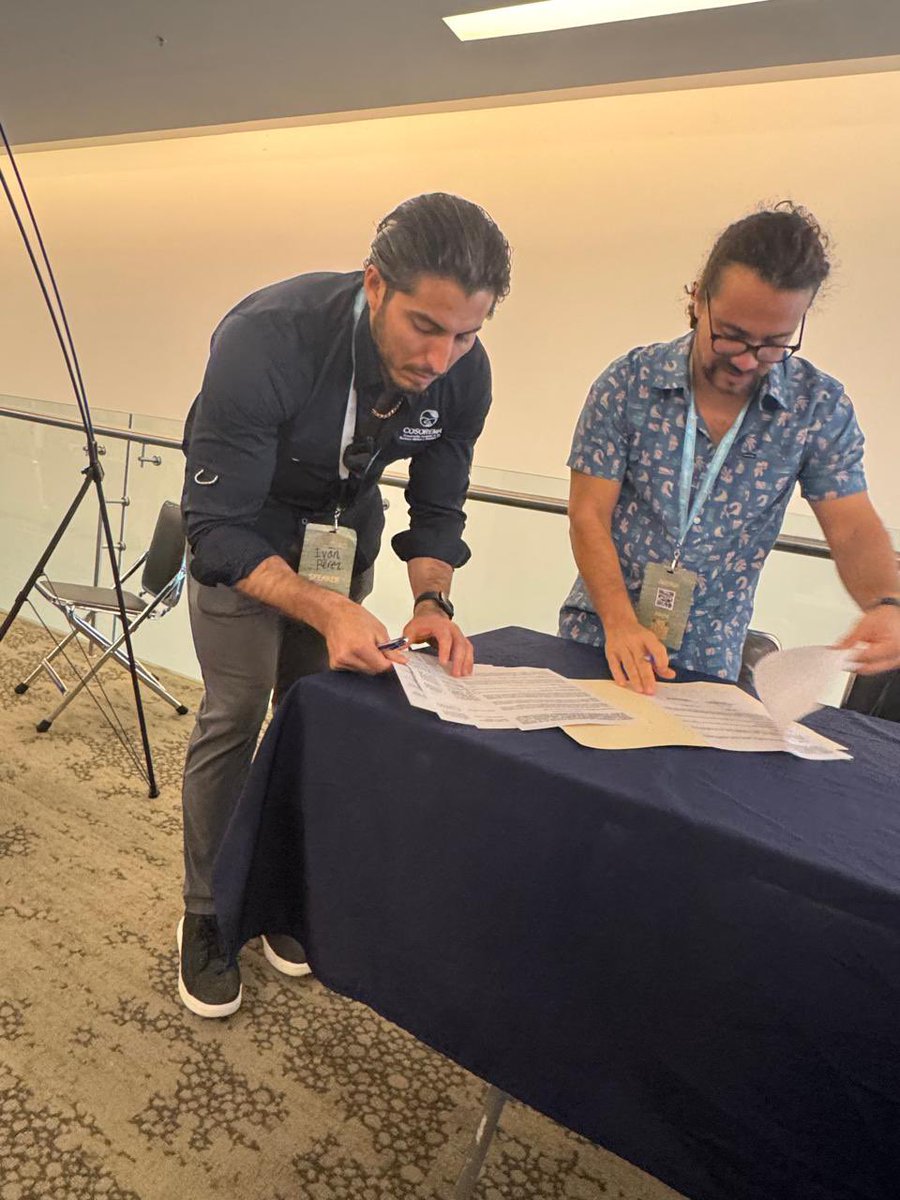 Cosorema tweet media