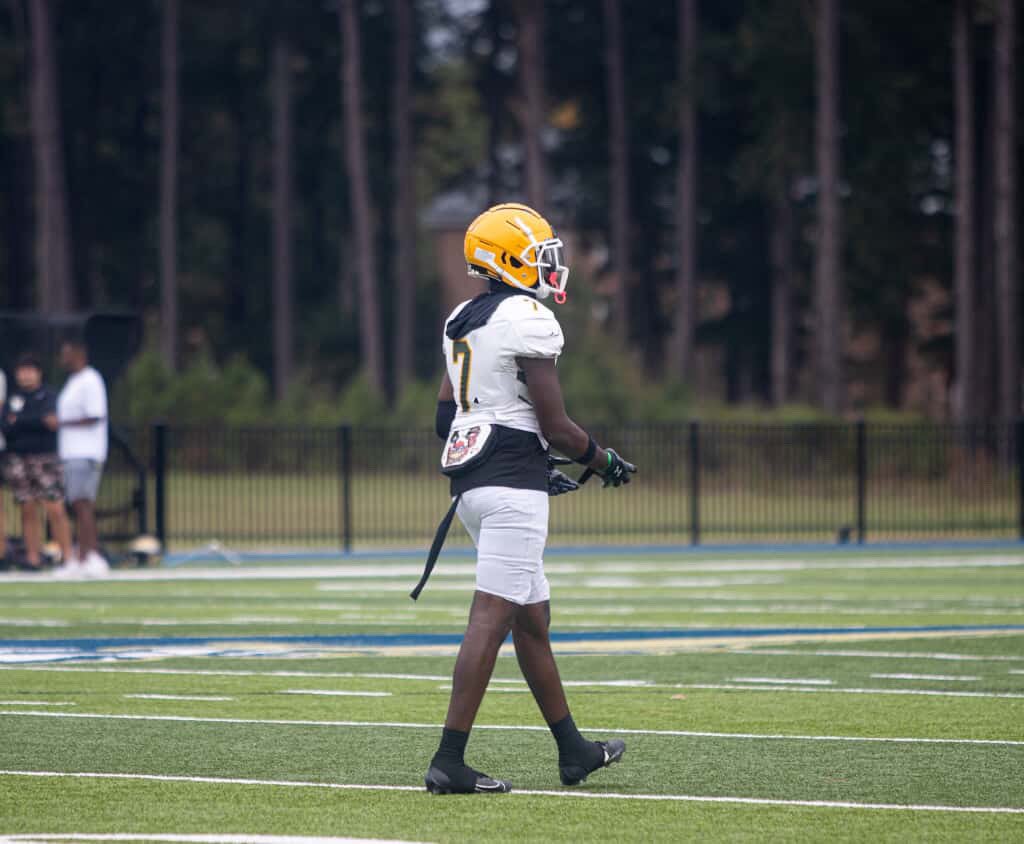 Saad Lavender tweet media