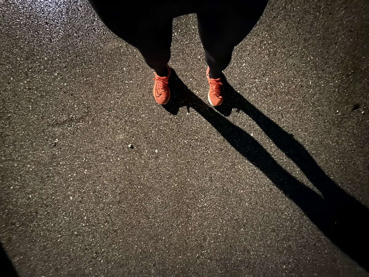 oscarregofpt's tweet photo. Second training session this Friday💪😊#running #run #strengthworkout https://t.co/TcowQIgqf1