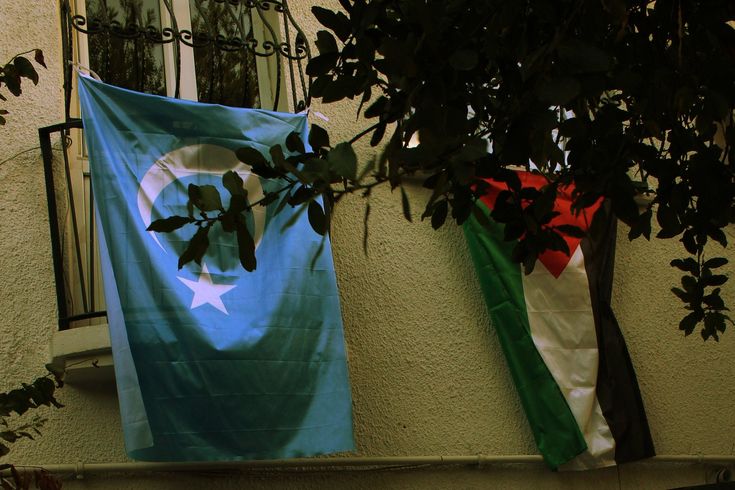 Doğu Türkistana olan sorumluluğumuz Filistine olan sorumluluğumuzdan az değildir.