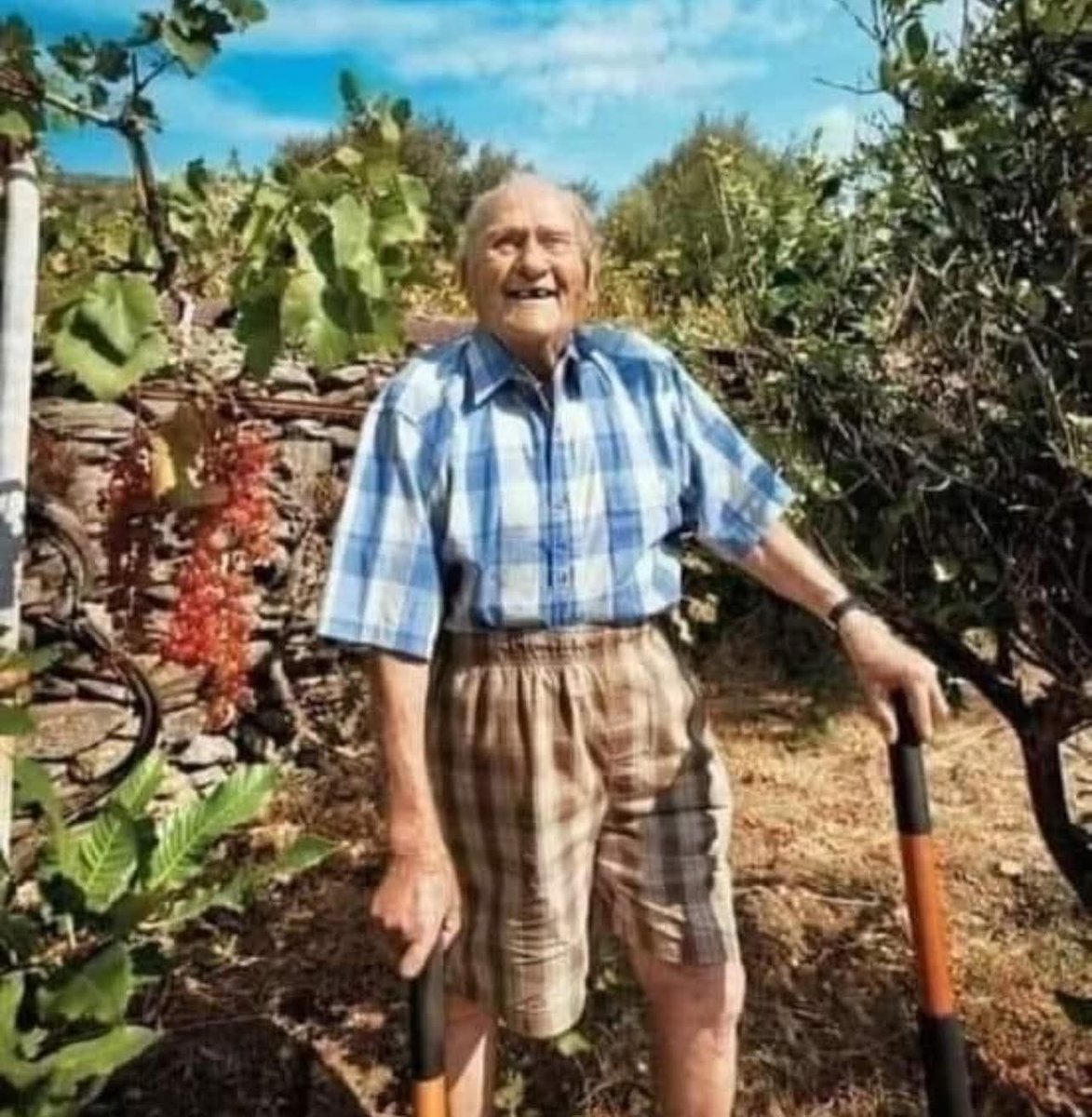 The Greek Moratis was 63 years old when doctors in America diagnosed him with lung cancer in 1976, telling him it was too late to treat it and that he had only six months to live. Moratis decided to consult several doctors, but unfortunately, all confirmed that he would die