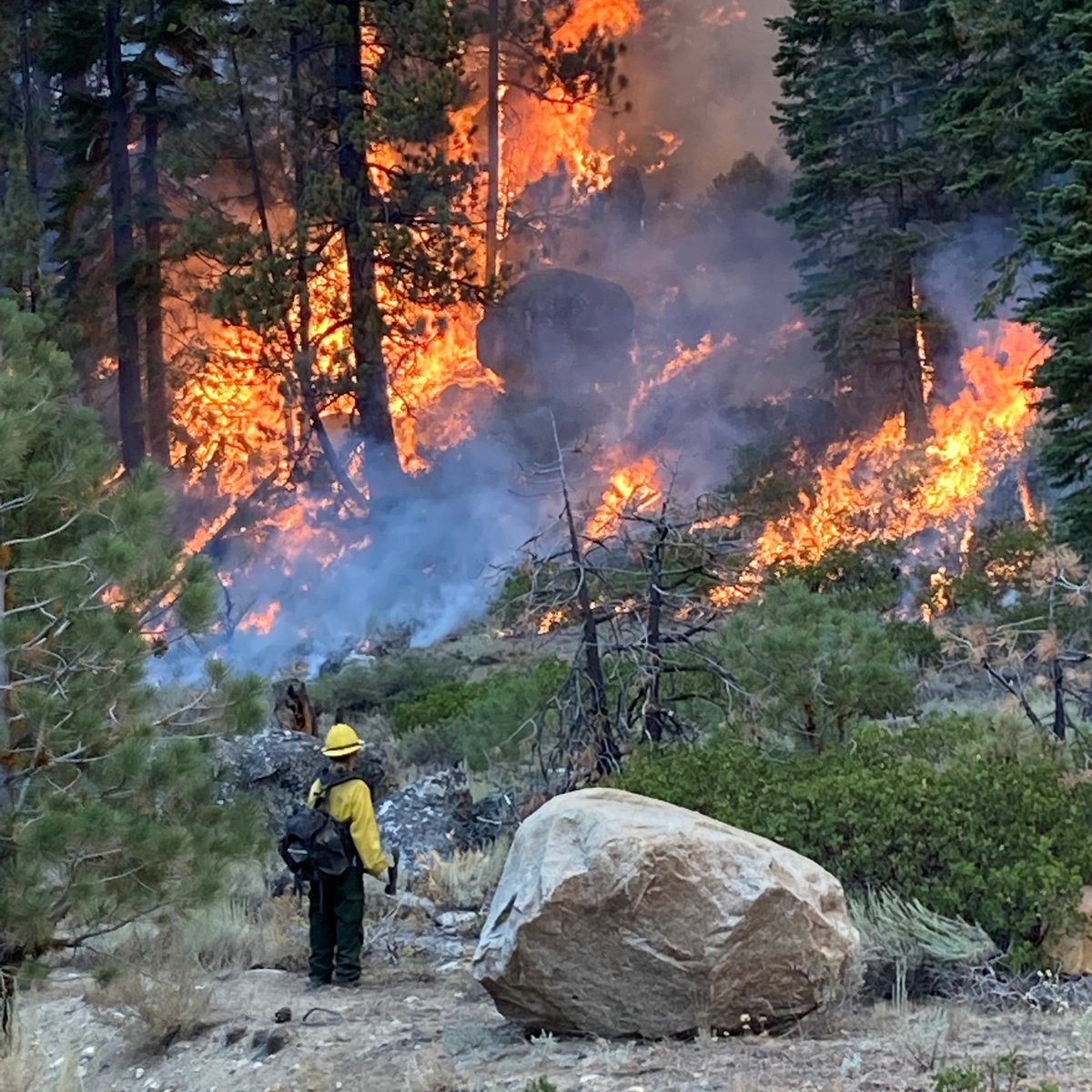 Forest Service seeks comments on draft Environmental Assessment for Caldor Fire Restoration Project to guide restoration activities on approximately 11,700 acres of National Forest lands in Lake Tahoe Basin. Full story: tinyurl.com/yc2ctzk5. #CaldorFire #CaldorFireRestoration