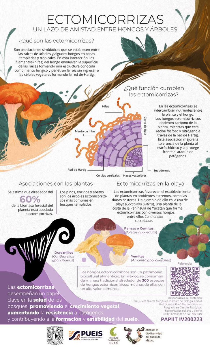 Sociedad Mexicana de la Ciencia del Suelo tweet media