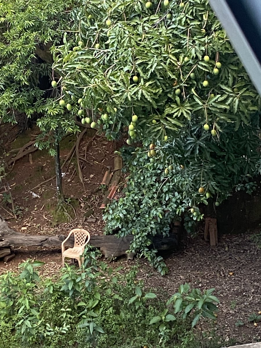 dayswerelong's tweet image. acho que meu vizinho queria ter tirado mais fotos