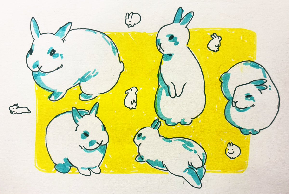sealsonline's tweet photo. Bored at the library I’m drawing my rabbit https://t.co/c8EUZDfasY