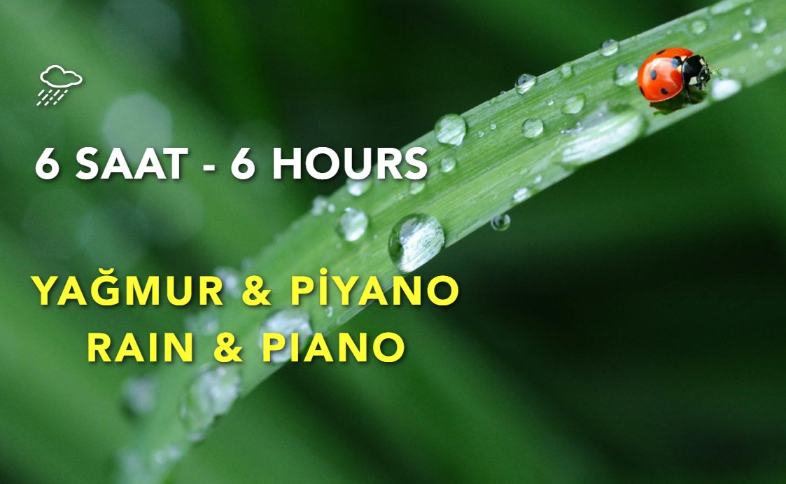 Yağmur &amp; Piyano: Çalışma, Stres Azaltma ve Rahatlama Müziği youtube.com/clip/UgkxZoA25… <a href="/YouTube/">YouTube</a> aracılığıyla 
#healingmusic #şifamüzikleri